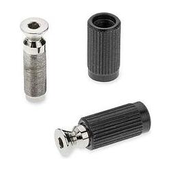 Schaller Tremolo Pivot Stud nickel (2), Zubehör Instrumente, Silber