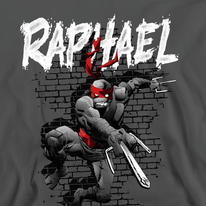 Actual product image Teenage Mutant NT Unisex Adult Raphael Sweatshirt (S)