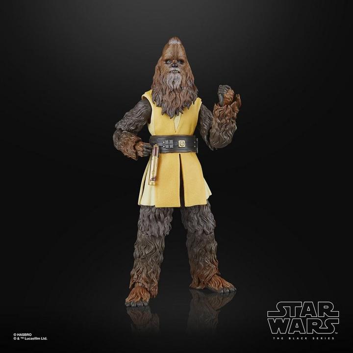 Actual product image Hasbro Star Wars: The Acolyte Black Series Actionfigur Jedi Master Kelnacca 15 cm