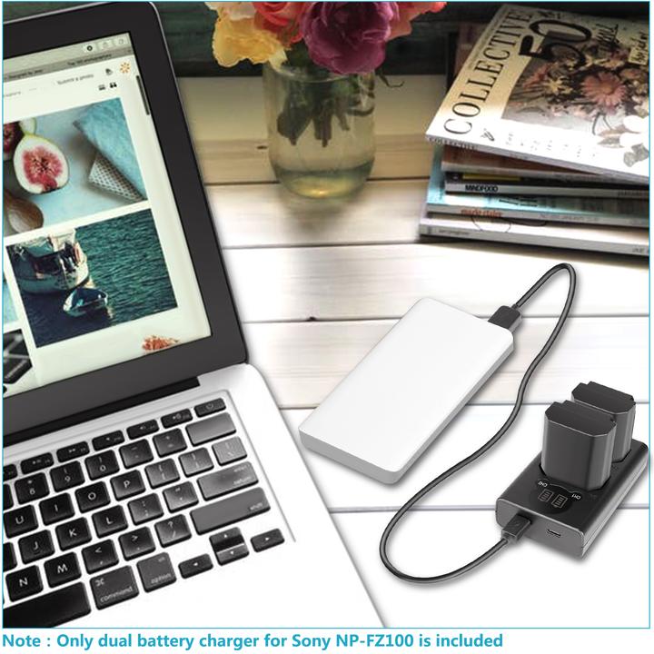 Actual product image Neewer DL-FZ100