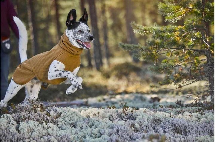 Produktbild Hurtta Wintermantel Warming Midlayer ECO, 50, Senf (M, Hundemantel)
