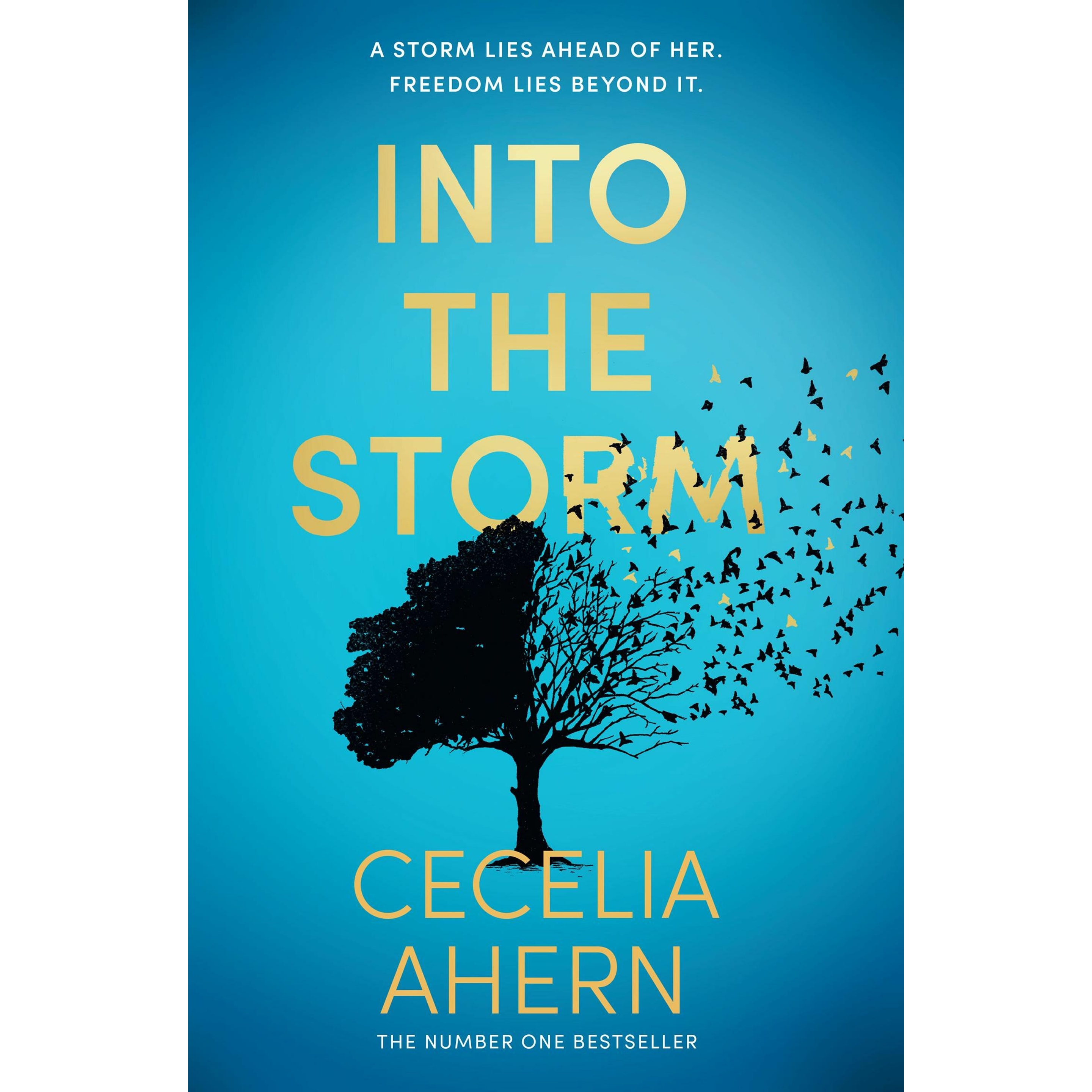 Cecelia Ahern Untitled Novel 4, Belletristik von Ahern Cecelia