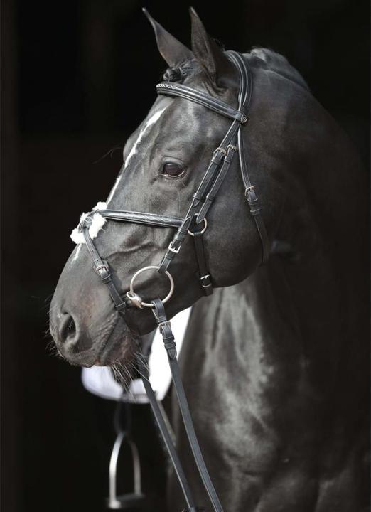 Productafbeelding Kerbl Snaffle hoofdstel Cancun zwart, Cob