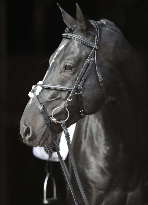 Actual product image Kerbl Snaffle bridle Cancun black, Cob