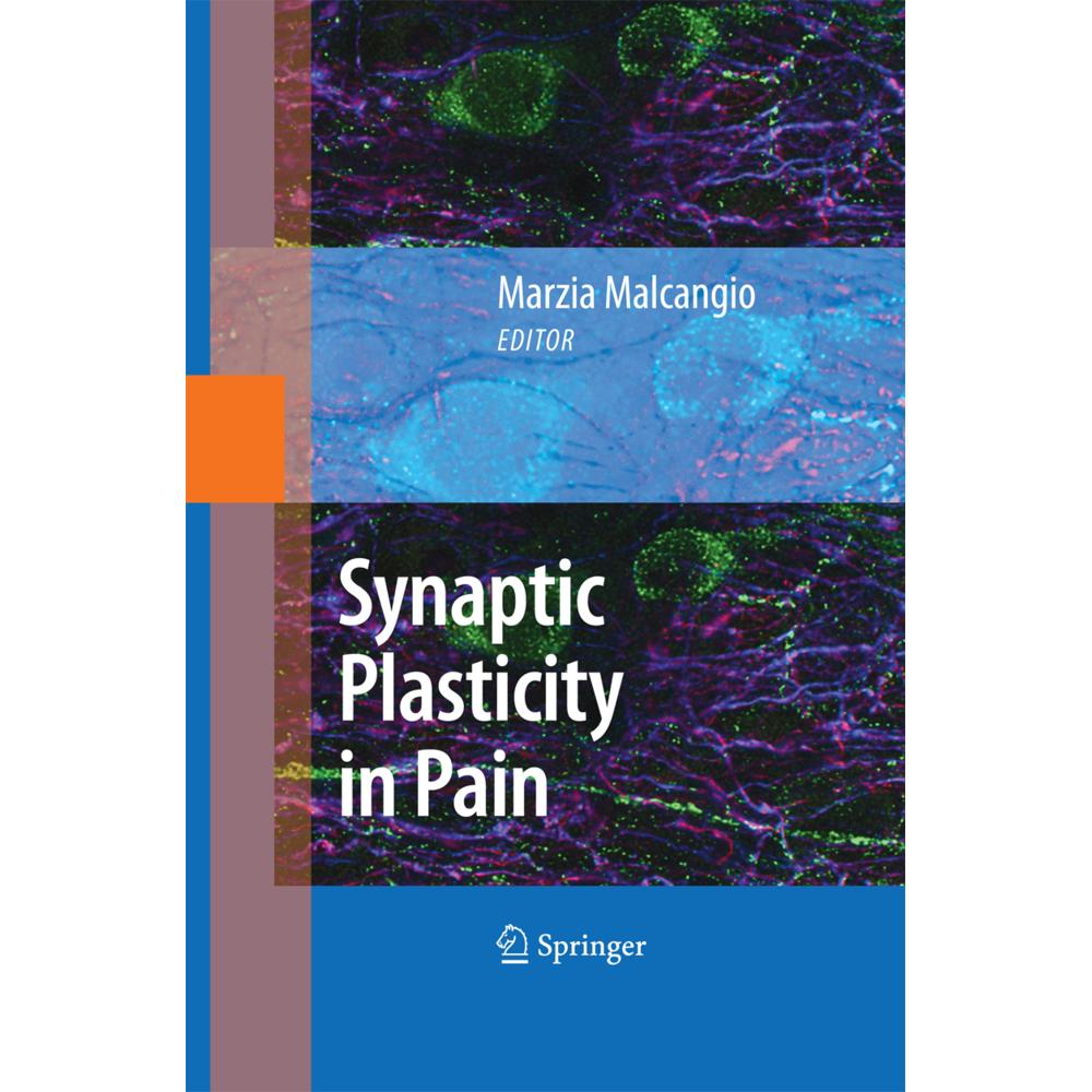 Synaptic Plasticity in Pain, Fachbücher