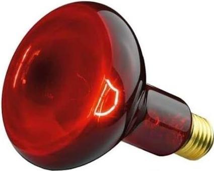 Actual product image Beurer Ersatzstrahler IL 11 (100 W)