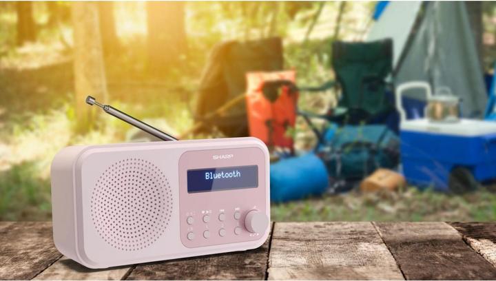 Actual product image Sharp DR-P420 (FM, DAB+, DAB, Bluetooth)