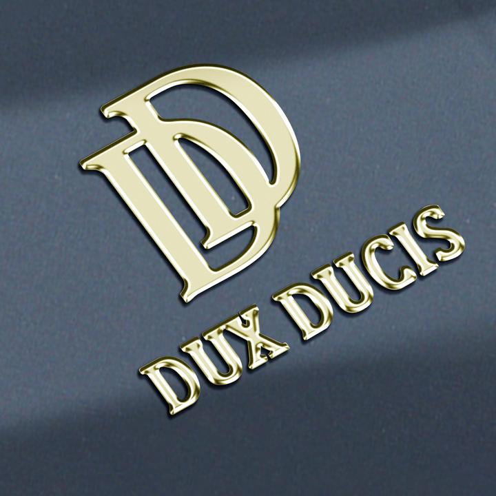 Produktbild Dux Ducis Cover (Samsung Galaxy S24 Ultra)