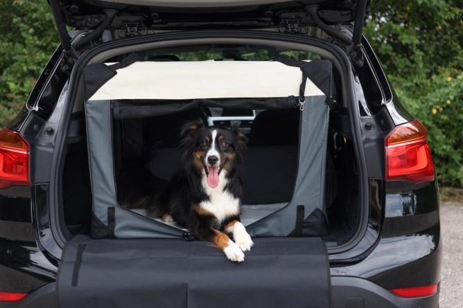 Produktbild Kerbl Transportbox Journey (Hund, Katze, Sicherheitsverschluss)