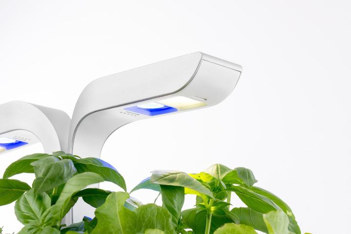 Produktbild Véritable Classic (18.50 cm)