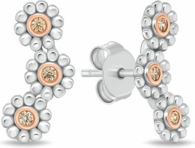 Immagine prodotto Brilio Argento - Orecchini a fiore in argento con zirconi EA1117WP