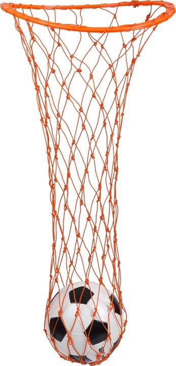 Actual product image Sport-Thieme Ball support net with ring