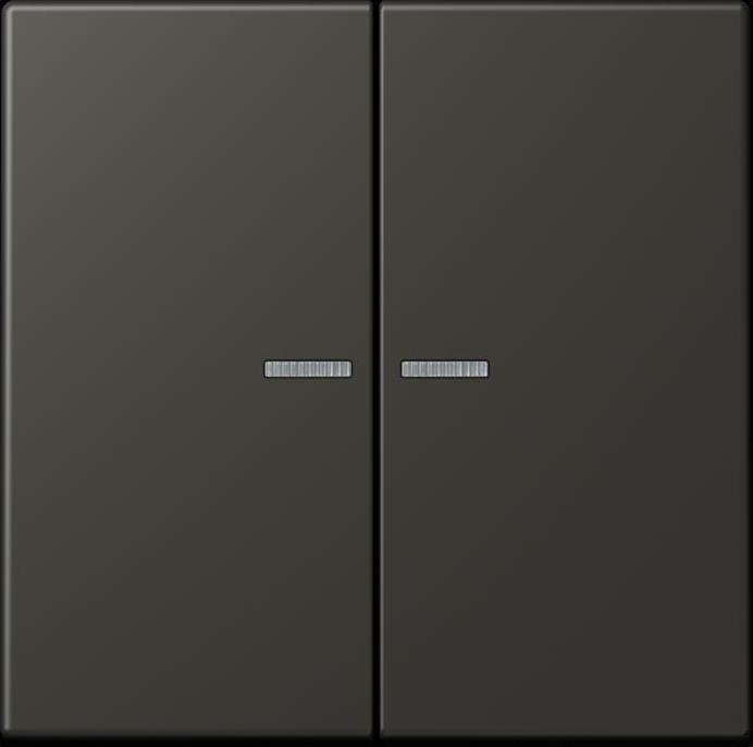 Actual product image JUNG Rocker