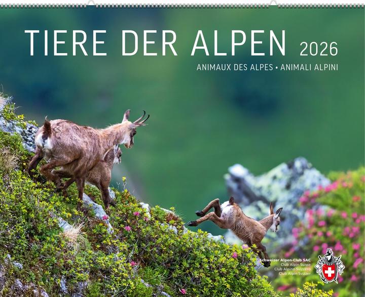 Tiere der Alpen 2026