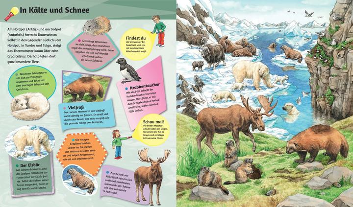 Produktbild Mein Taschenlampenbuch Wilde Tiere (Deutsch, 2024)