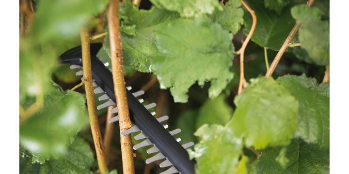 Actual product image Bosch Home & Garden 18V Battery Hedge Trimmer UniversalHedgeCut 18-55 (Rechargeable battery operated)