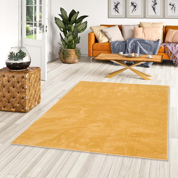 Image du produit Snapstyle Luxe Super Soft Tapis à poils longs Deluxe (140 x 200 cm)