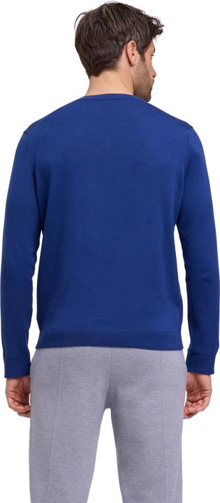 Immagine prodotto Falke FAV Cotton V-Neck m (M)