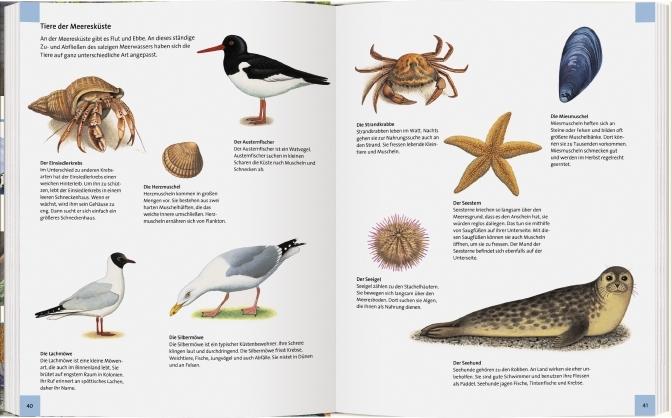 Produktbild Wo leben die Tiere unserer Welt? (Deutsch, Thomas Müller, 2018)