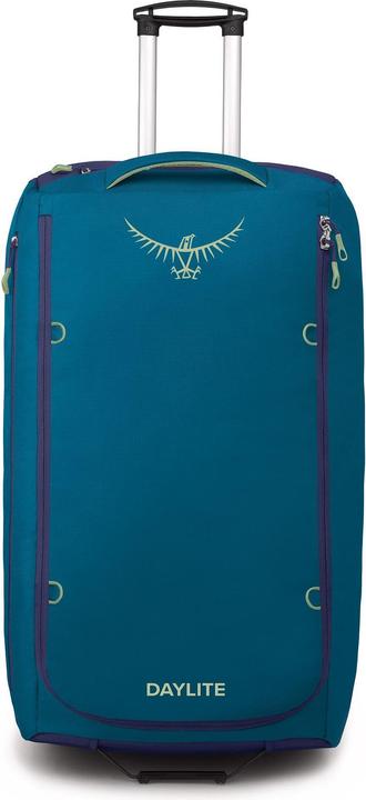 alkaline, blue spikemoss