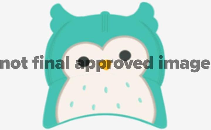 Actual product image Difuzed Squishmallows casquette baseball Winston Novelty (One size)