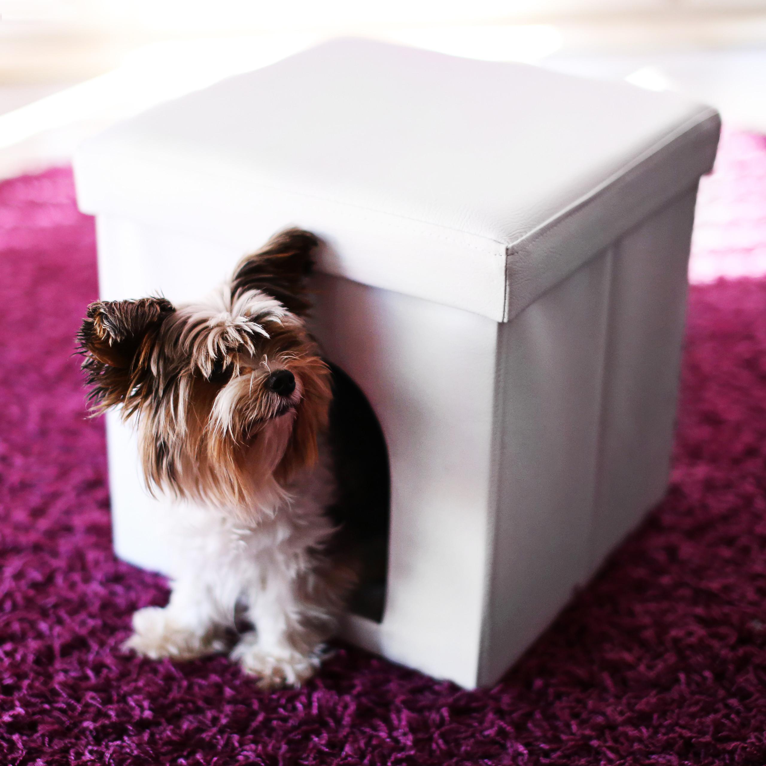 Relaxdays, Hocker + Pouf, Hundebox Sitzhocker