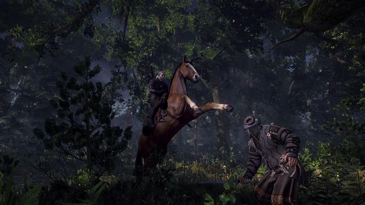 Produktbild The Witcher 3 : Wild Hunt