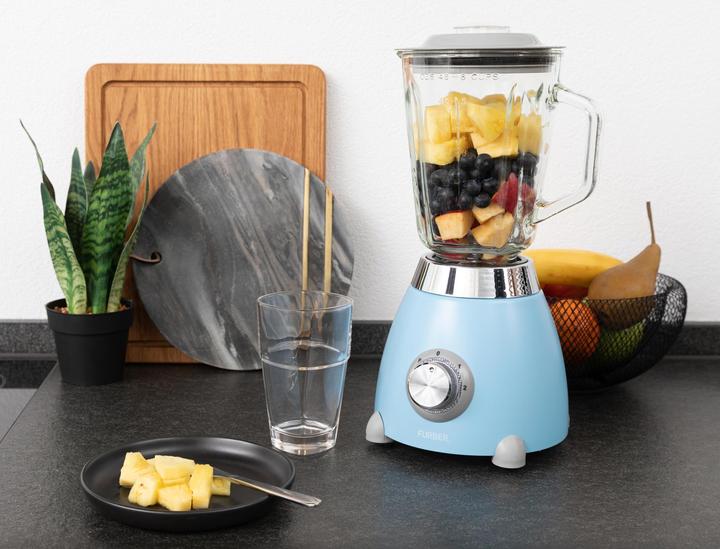 Image du produit Furber Mixeur sur socle (500 W)