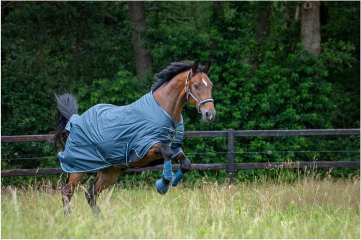 Immagine prodotto Eskadron Halfter DOUBLE PIN Classic Sports SS26