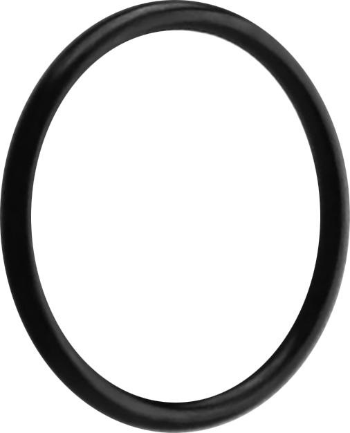 Produktbild Star Piercing O-Ring schwarz (ohne Messing, Silikon)