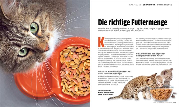 Produktbild Die grosse Katzenbibel (Deutsch, 2023)