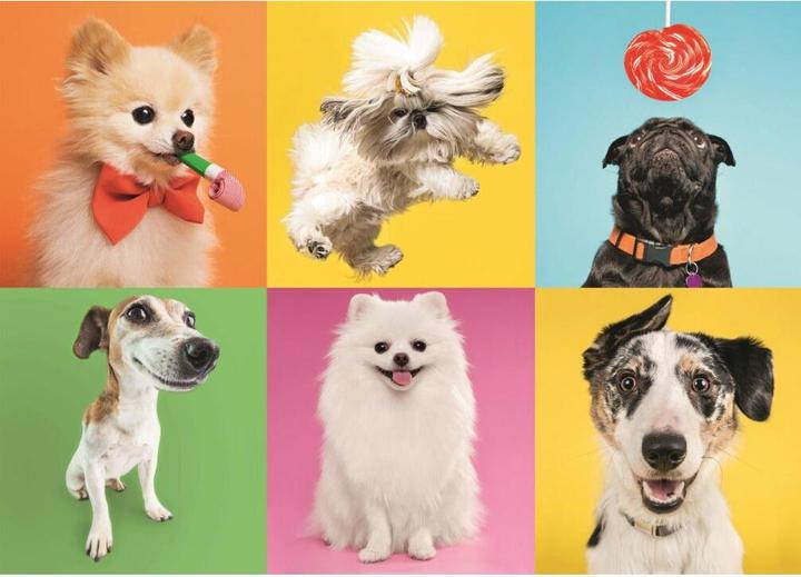Produktbild Trefl Dogs (500 Teile)