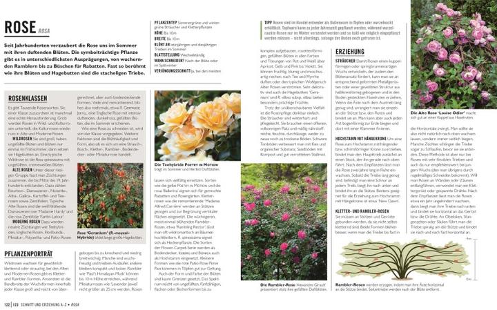 Produktbild Grünes Gartenwissen. Pflanzen richtig schneiden (Deutsch, Reinhard Ferstl, Stephanie Mahon, 2022)