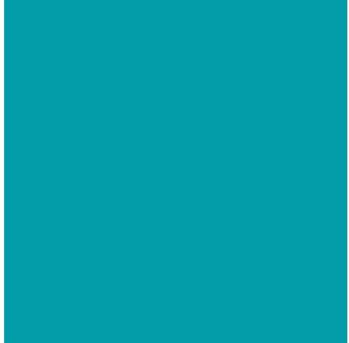 Actual product image Cricut Vinyl film (1 x)