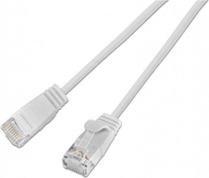 Wirewin Netzwerkkabel (UTP, CAT6, 2 m)