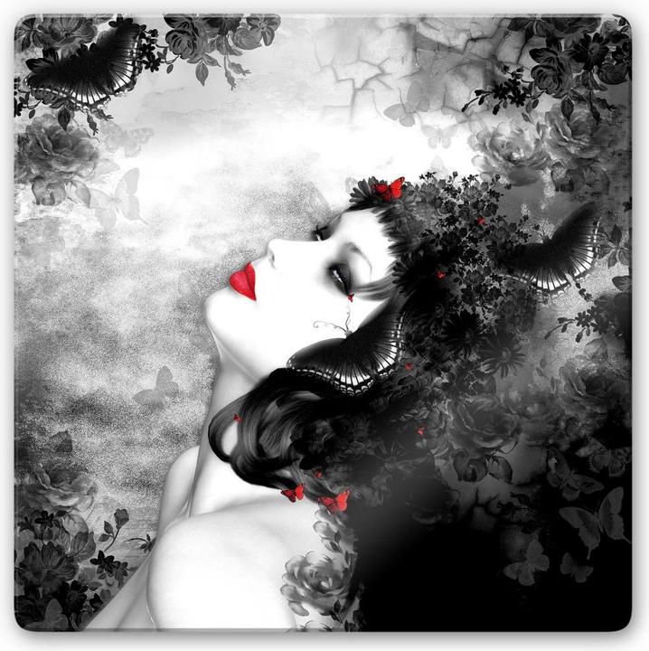 Produktbild Trenddeko Schwarzer Falter Imago (20 x 20 cm)