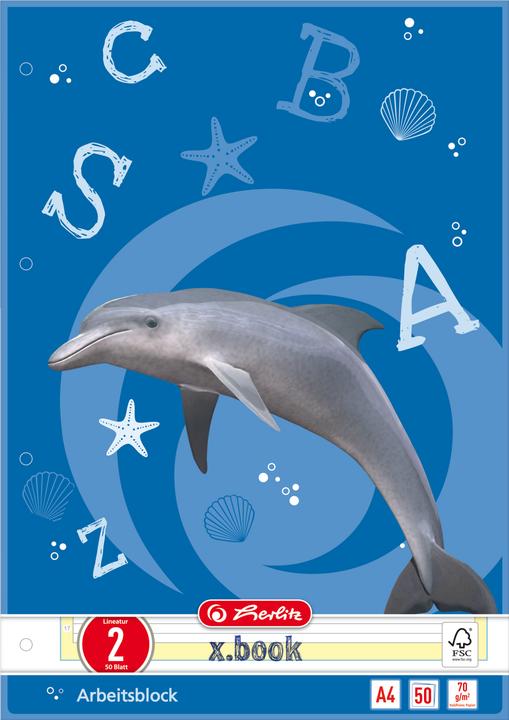 Actual product image Herlitz x.book work pad, DIN A4, ruling 2 (A4, Lined, No binding)