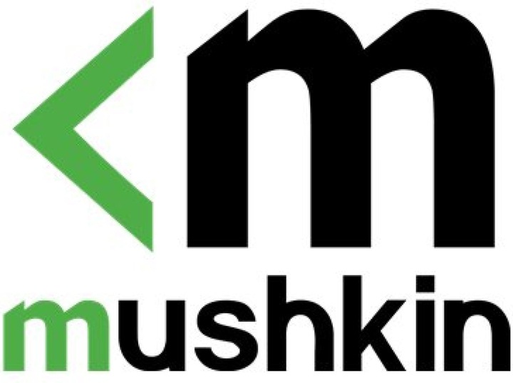 Produktbild Mushkin SSD 1TB 2900/3300 Tempest M.2 MSK (1000 GB, M.2 2280)