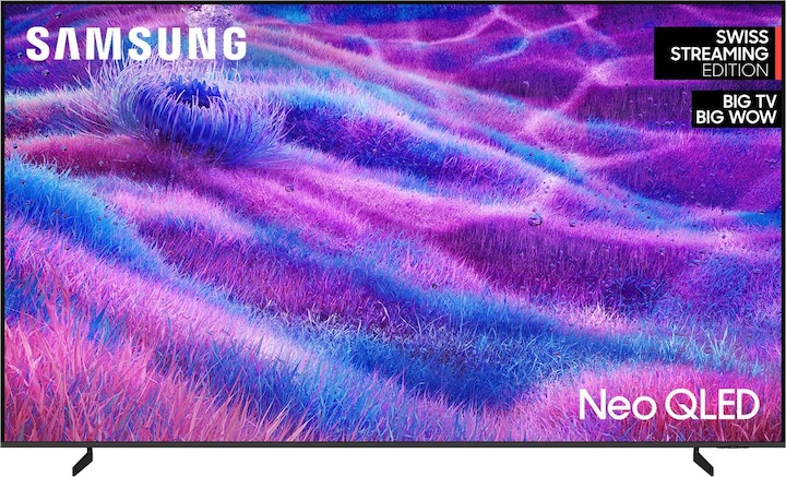 Samsung QE100QN80F (100", QN80F, NeoQLED, Mini-LED, 4K, 2025)