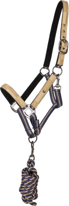 Qhp Duo Halfter und Longierleine für Pferde