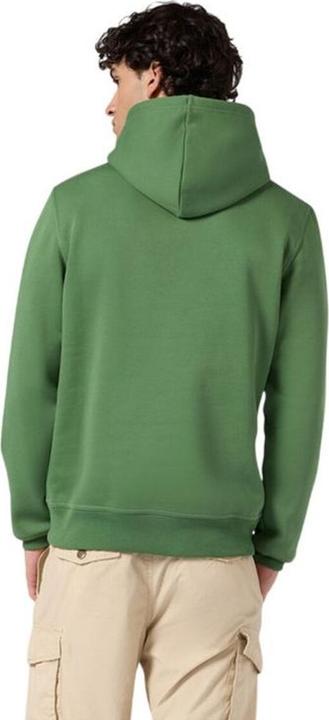 Actual product image Champion Hooded Sweatshirt (L)