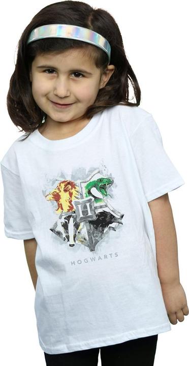 Image du produit - T-shirt HOGWARTS PAINTED CREST - Fille (140, 146)