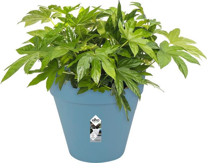 Actual product image Elho Loft Urban (50 cm)