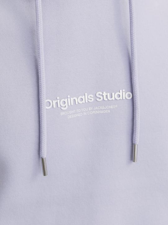 Produktbild Jack & Jones Gedruckt Kapuzenpullover Kapuzenpullover (M)