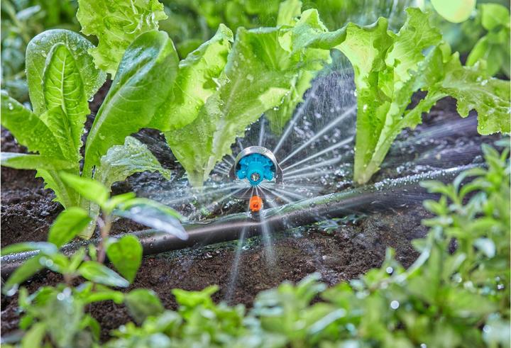 Produktbild Gardena Micro-Drip-System (Tropfbewässerung Tropfer)