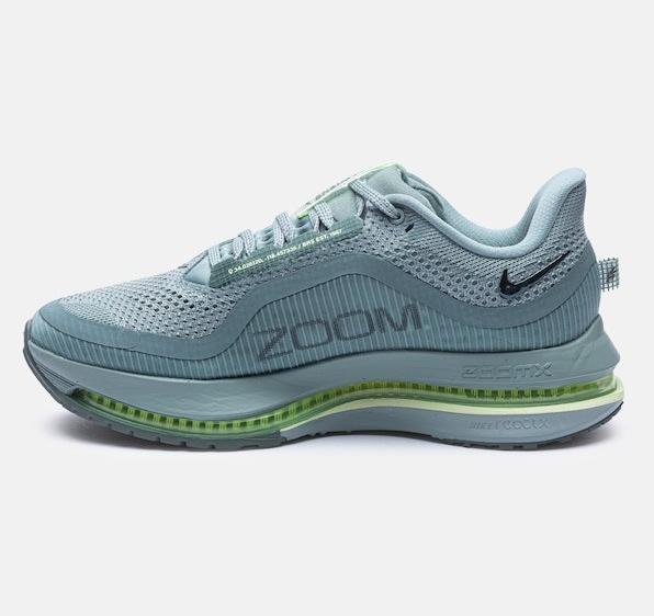 Produktbild Nike Pegasus Premium (43)