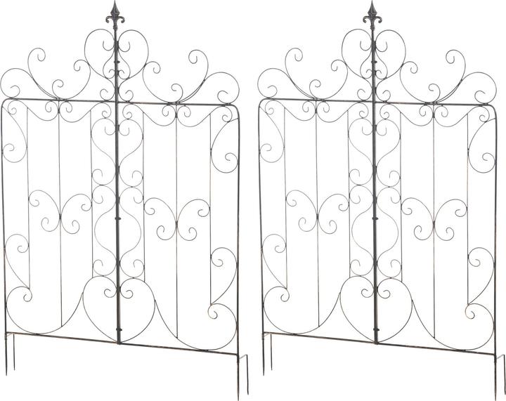 Actual product image CLP Mandevilla (1 cm, 99 cm)