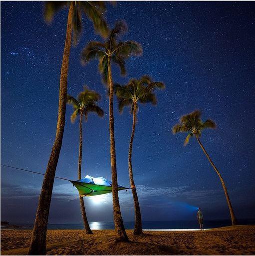 Produktbild Tentsile Stingray 2.0 (Baumzelt, 9 kg, 3 Personen)