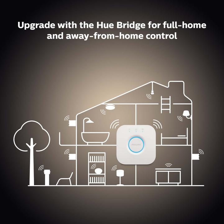 Actual product image Philips Hue White BT (E27, 7 W, 550 lm, 1 x, G)