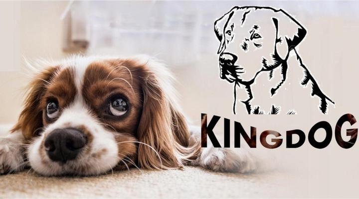 Actual product image AIO KingDog (Cat, Dog)